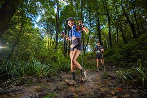 BIB: 
                            <button type="button" onclick="openModal(19231312)" class="btn btn-primary btn-sm float-right btn-popup" data-toggle="modal" data-target=".modal-high-quality">
                        <i class="fas fa-shopping-cart"></i> Add to Cart
                    </button>
                                            <button type="button" onclick="isThisMe(19231312, true)" class="btn btn-success btn-sm float-right btn-popup btn-isme hidden" data-toggle="tooltip" data-placement="bottom" title="นี่คือรูปของคุณใช่ไหม คลิกที่นี่เพื่อเอาเข้าอัลบั้ม">
                        <i class="fas fa-plus"></i> Add to album
                    </button>
                    <button type="button" onclick="isThisMe(19231312, false)" class="btn btn-warning btn-sm float-right btn-popup btn-isnotme hidden">
                        <i class="fas fa-ban"></i> Remove from album
                    </button>